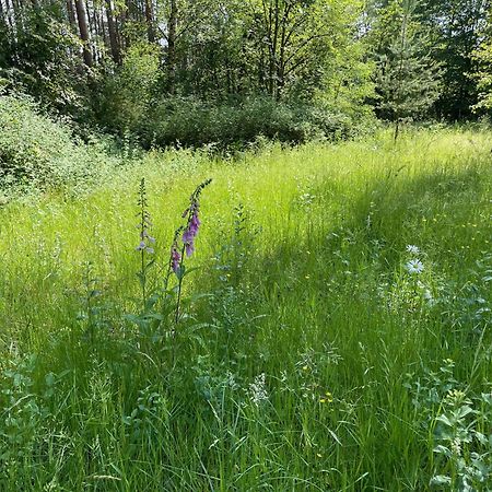 Little Paradise Stelle Екстериор снимка