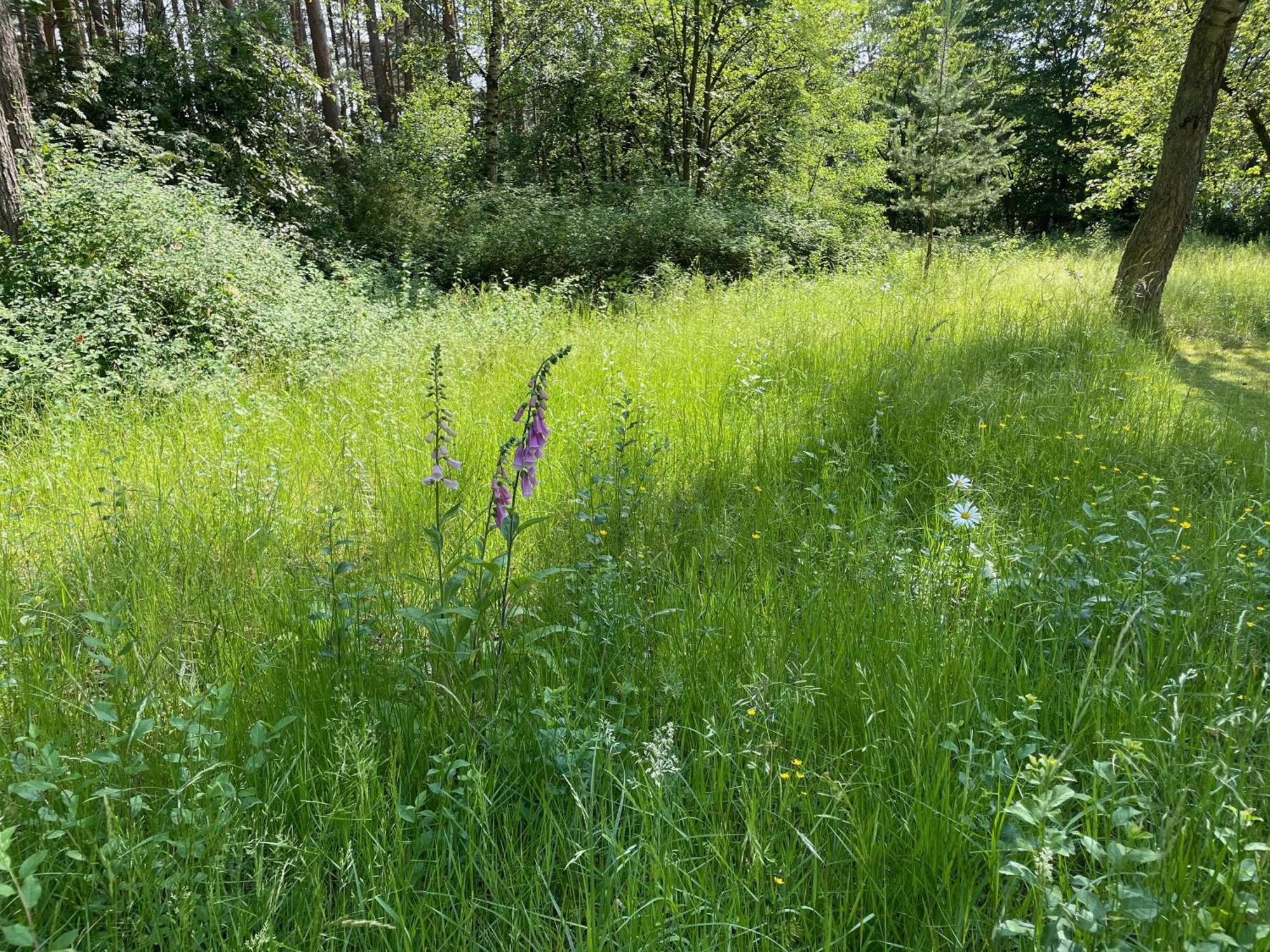 Little Paradise Stelle Екстериор снимка
