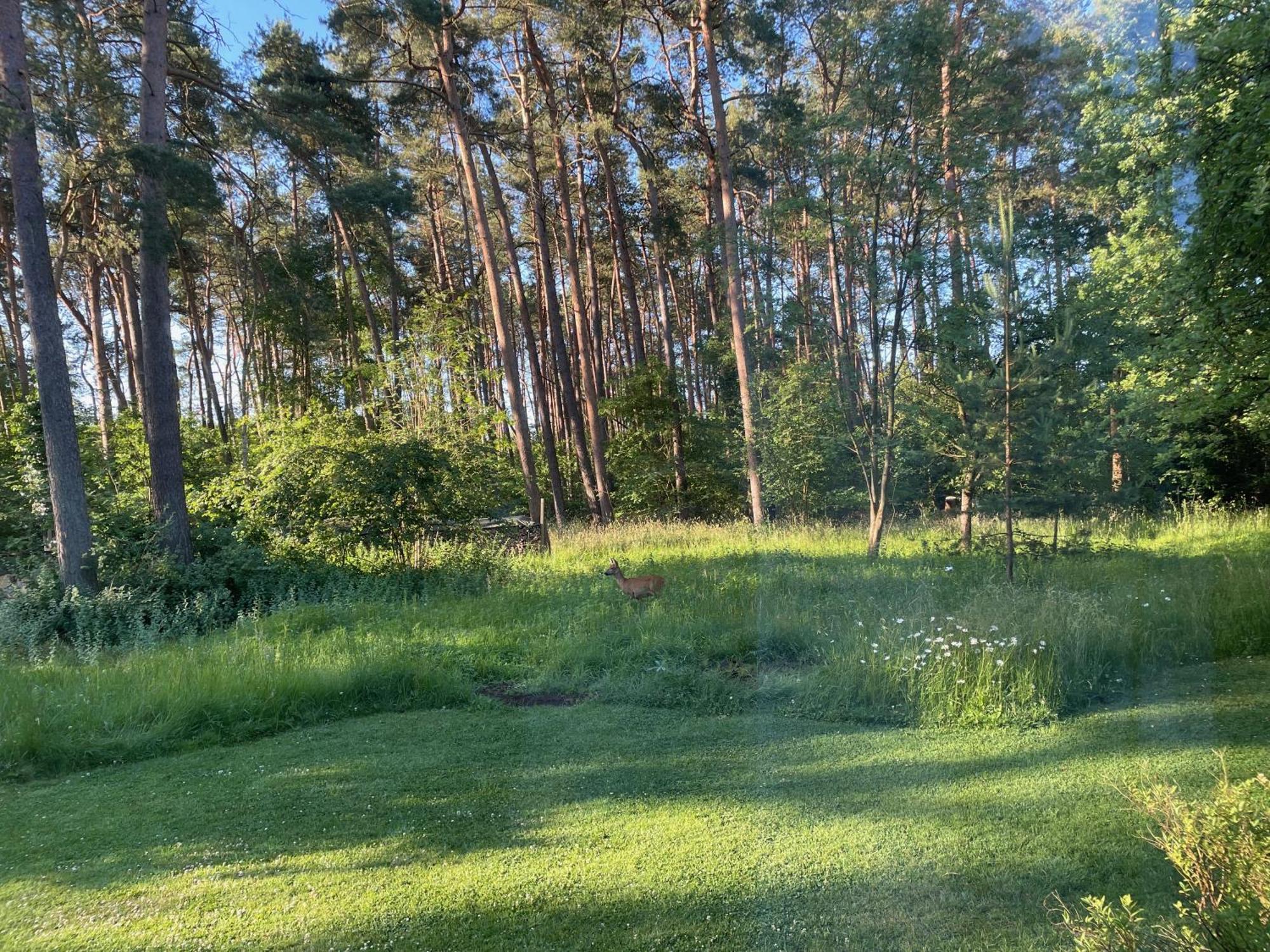Little Paradise Stelle Екстериор снимка
